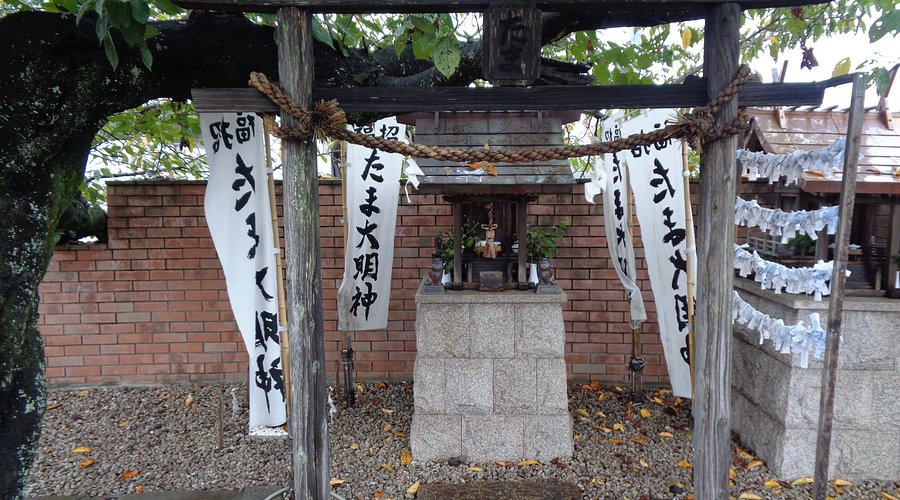 Santuario de Tama Jinja en el andén de la estación de Kishi | Imagen: Gobierno de Japón