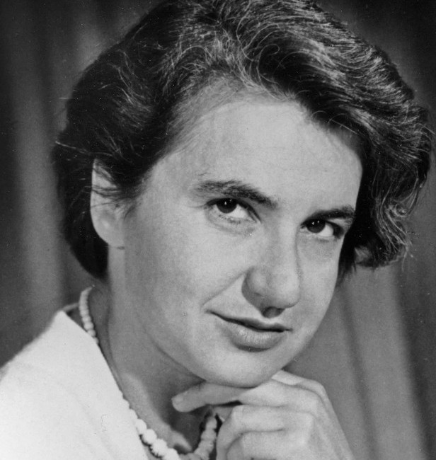 Durante años, la historia oficial del ADN omitió el papel decisivo de una científica cuya investigación permitió entender la doble hélice | Imagen: Uso libre