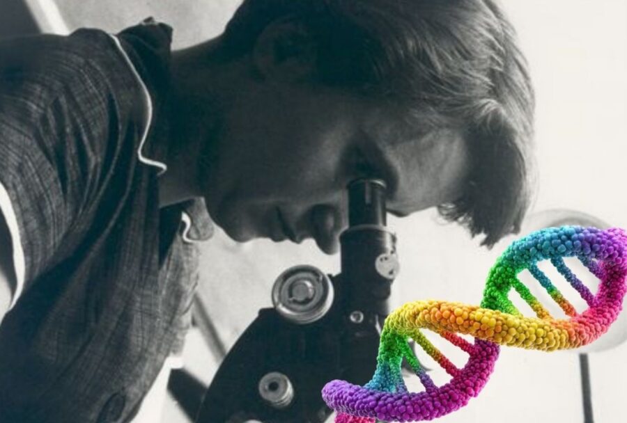 Rosalind Franklin produjo evidencia experimental crucial para el descubrimiento del ADN.