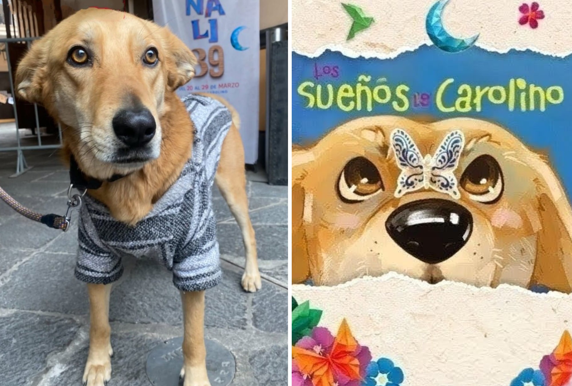 “Los sueños de Carolino” narra su historia dentro de la BUAP.