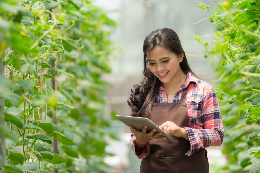 En las Empresas B la sostenibilidad y la competitividad van de la mano.