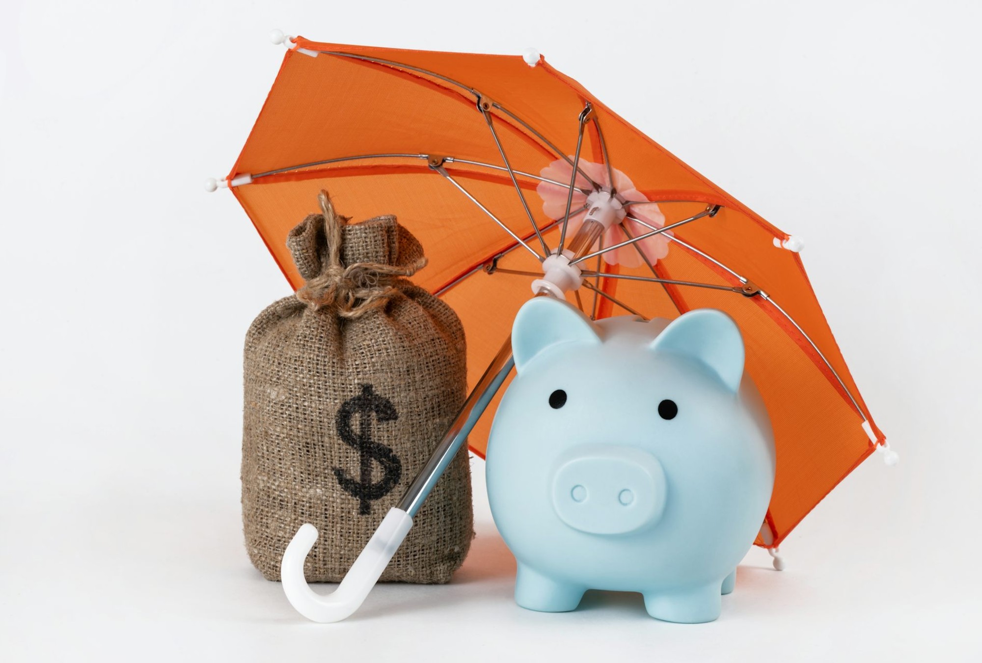 Guía práctica de ahorro e inversión para jóvenes profesionales.