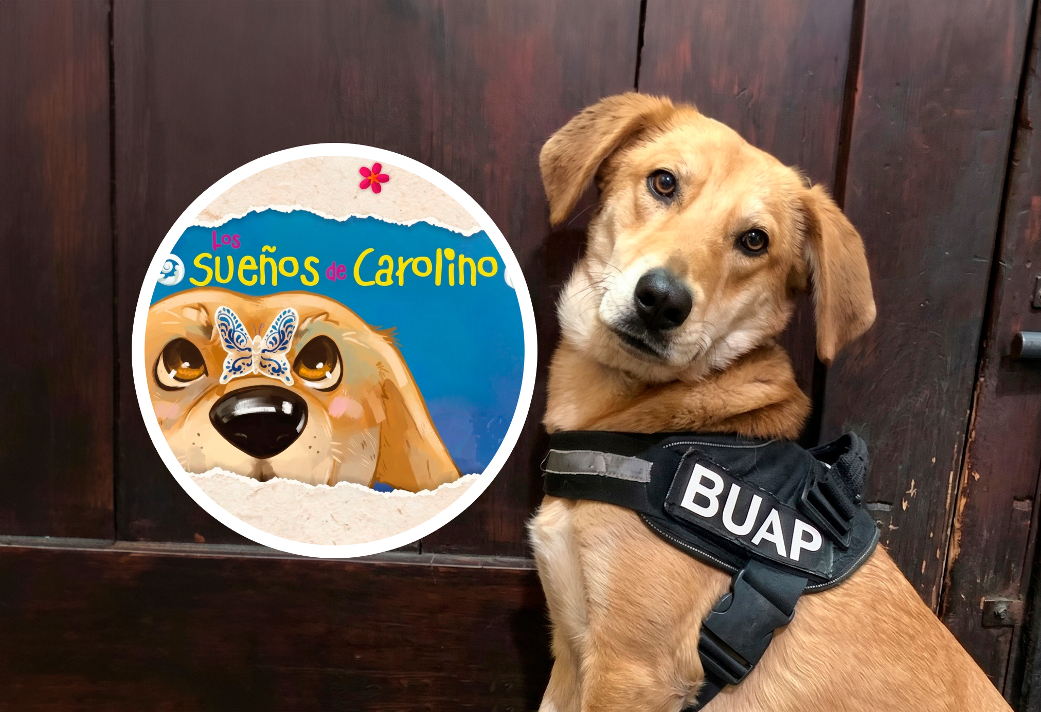 “Los sueños de Carolino” narra su historia dentro de la BUAP.