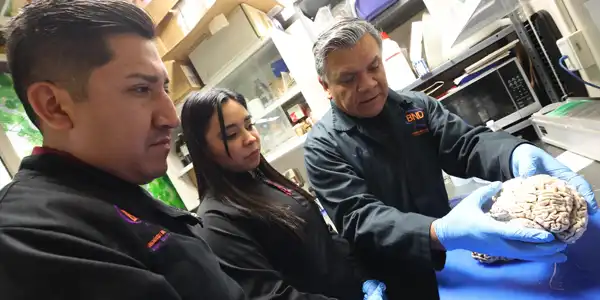 El hallazgo mexicano fue reconocido a nivel internacional | Imagen: IPN