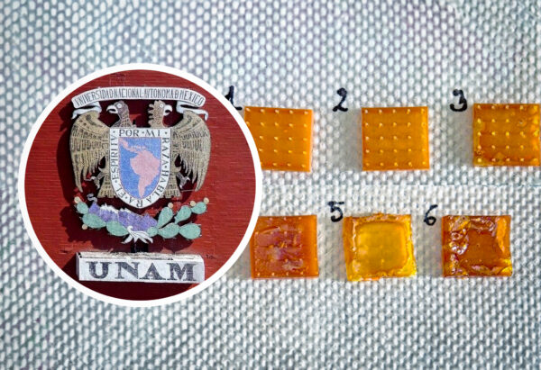 UNAM crea parche con microagujas y maíz que podría controlar la hipertensión sin pastillas