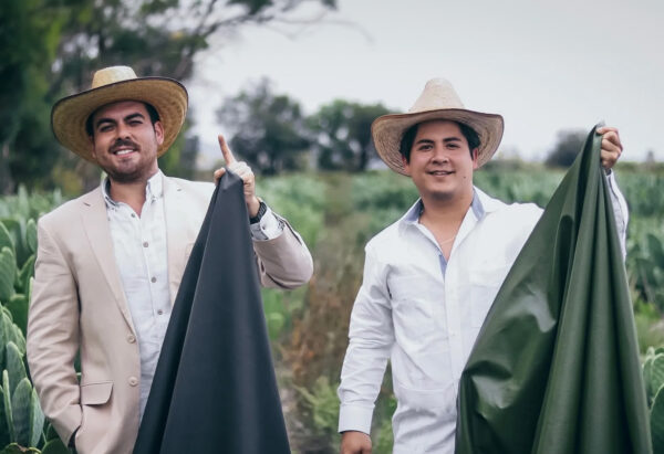 Piel de cactus: cómo Desserto crea cuero de nopal vegano y sustentable en México