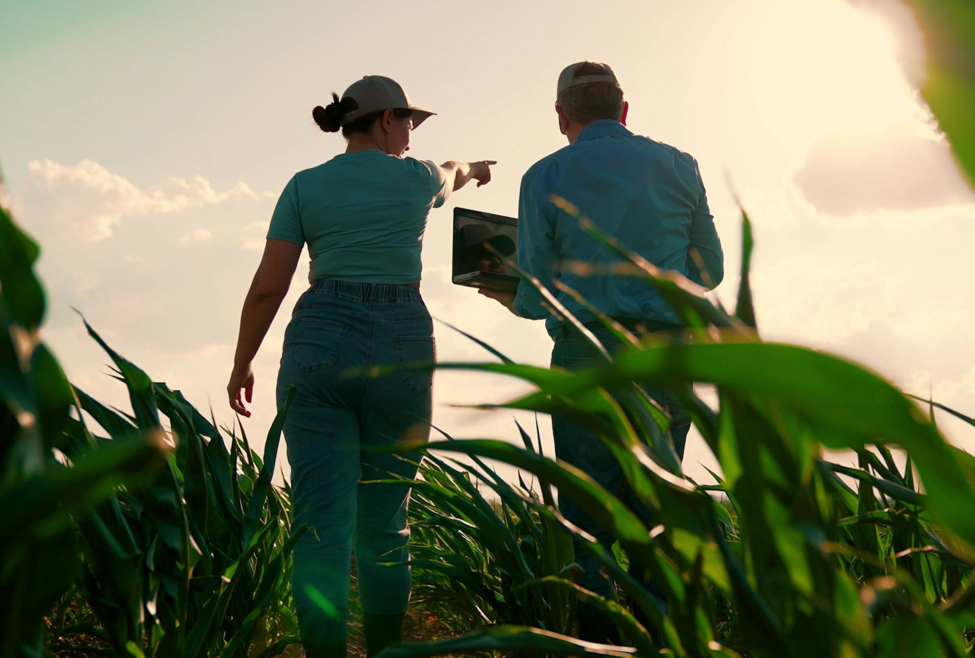 Agricultoras y ganaderas están impulsando nuevas formas de innovación rural centradas en sostenibilidad, diversificación y arraigo territorial.
