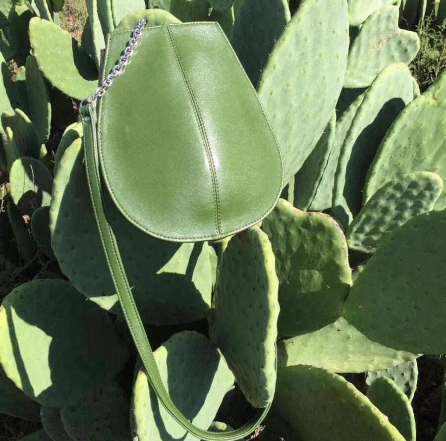 Piel de cactus: cómo Desserto creó un negocio sustentable desde México