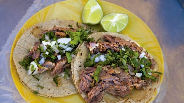 Guía para abrir un negocio de barbacoa rentable desde cero: costos y ganacias reales
