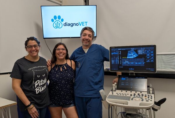 La startup que quiere devolverles tiempo a los veterinarios atrae 300 mil dólares de inversión