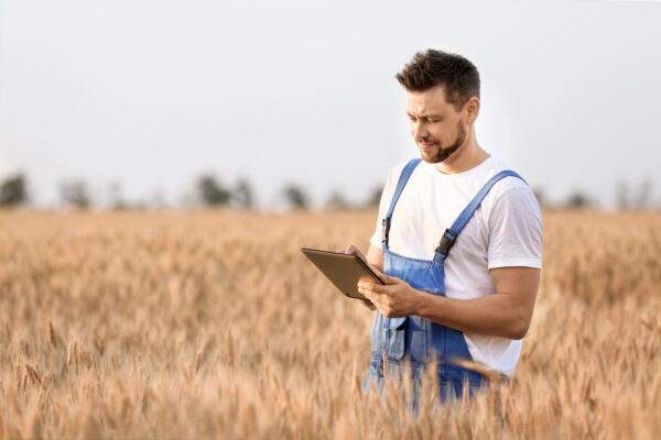 De la central de abastos al smartphone: cómo Smattcom convirtió un mercado tradicional en un B2B digital