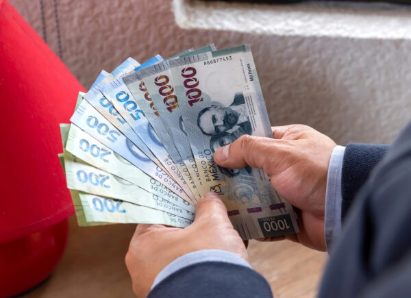 México necesita capital, pero también profesionales preparados para administrarlo