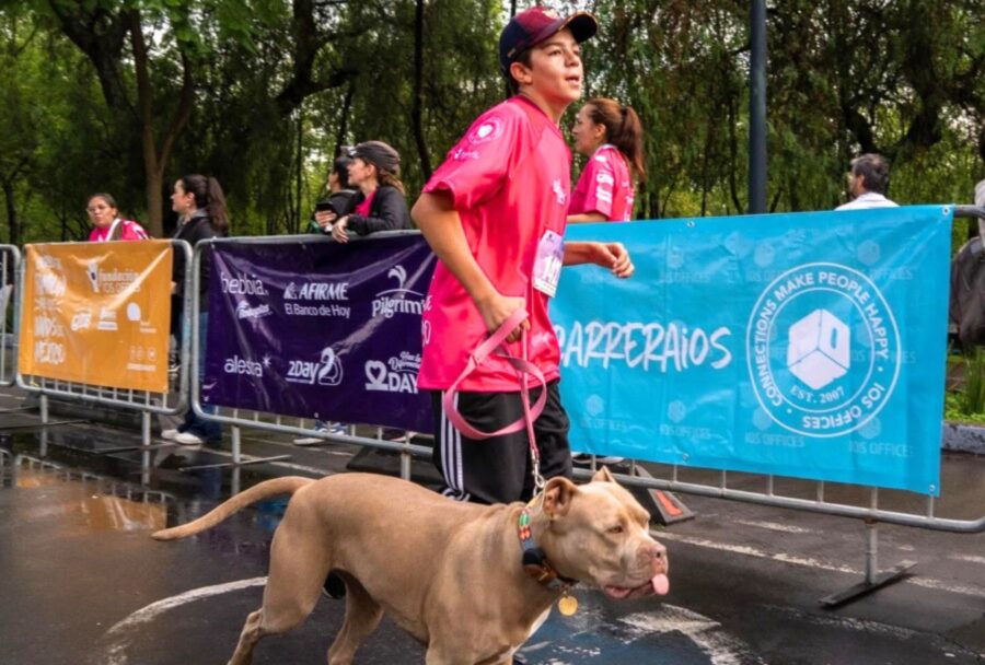 Empresas y corredores se unirán para apoyar a niños con cáncer | Imagen: Cortesía