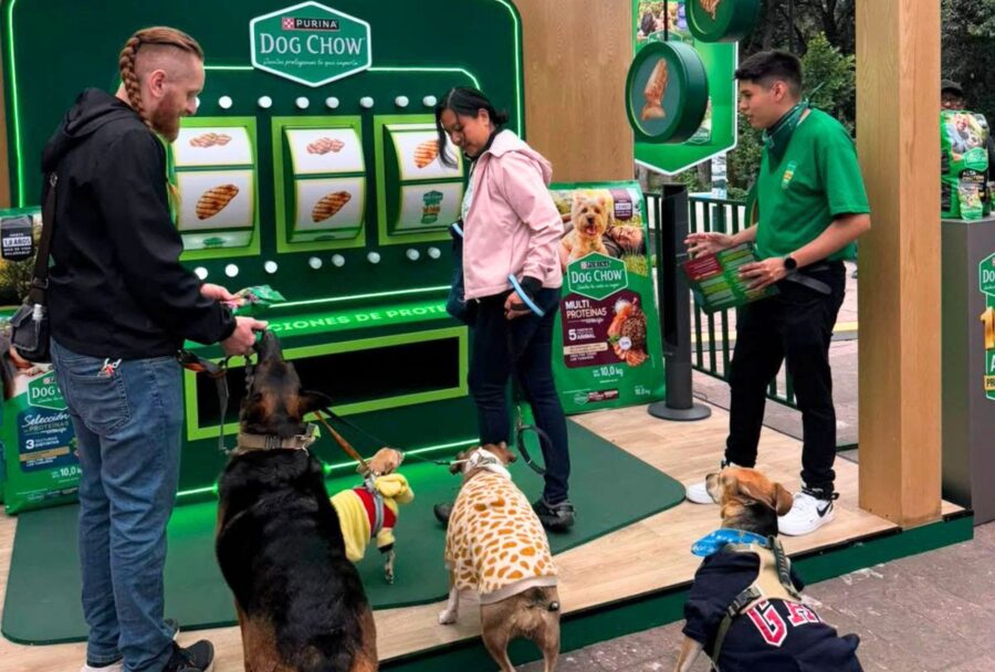 México tiene una población estimada de 41.2 millones de perros, de acuerdo con datos de la ENBIARE 2025 | Imagen: Cortesía