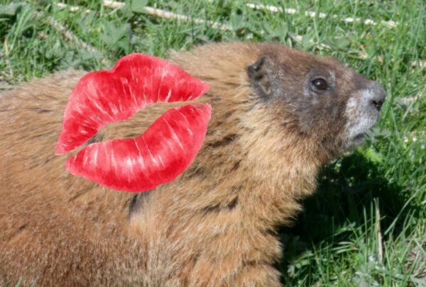 OnlyMarms tiene campeón: Dawn gana Fat Marmot Week y pesa 6 kilos