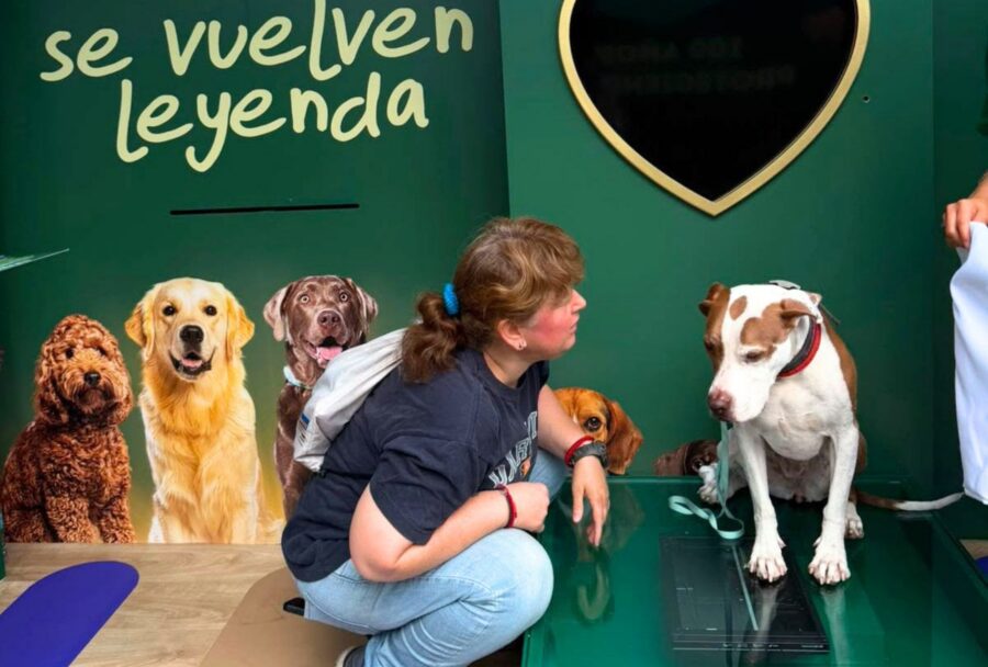 El mercado pet care se acerca a los 100,000 millones de pesos | Imagen: Cortesía