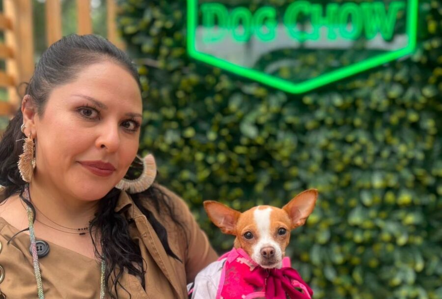 Dog Chow cumple un siglo: así será su experiencia para perros en CDMX | Imagen: Cortesía