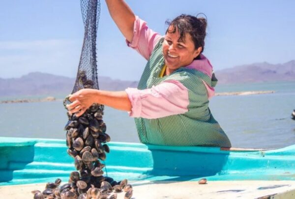 Agricultura reunirá a 300 especialistas para impulsar la pesca y acuacultura sustentables en México