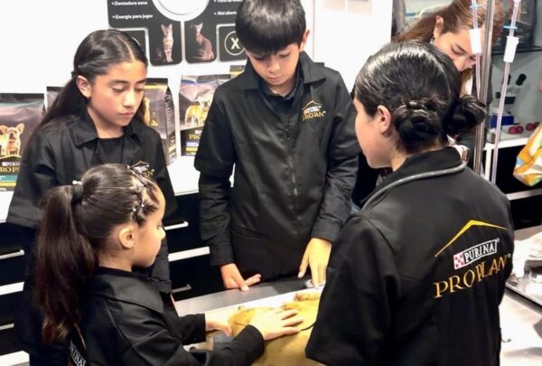 Escuela Veterinaria de Purina llega a KidZania: qué harán los niños y cuánto cuesta