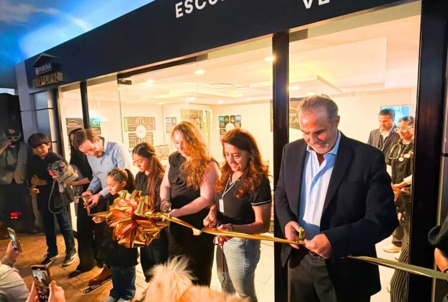 Vendajes, RCP y una perrita embarazada: así es la nueva experiencia veterinaria de KidZania | Imagen: Kidzania