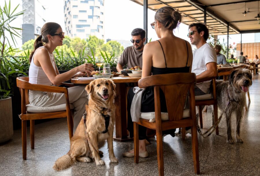 OpenTable eligió 50 restaurantes para comer con tu perro en CDMX: así hizo la lista