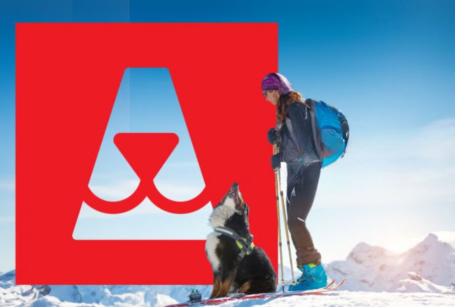 ¿Tu startup trabaja con mascotas? Purina ofrece hasta un millón de pesos