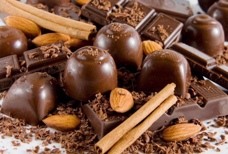 México produjo 27,874 toneladas de cacao durante 2025 | Imagen: AdobeStock