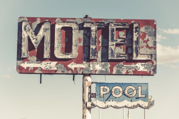 Dos amebas descubiertas en un motel barato podrían revelar secretos de la evolución