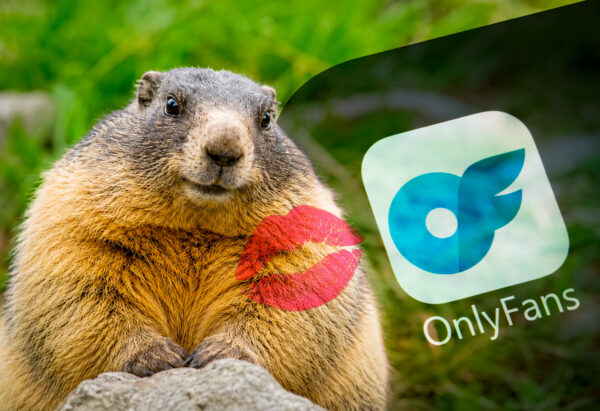 OnlyMarms tiene campeón: Dawn gana Fat Marmot Week y pesa 6 kilos