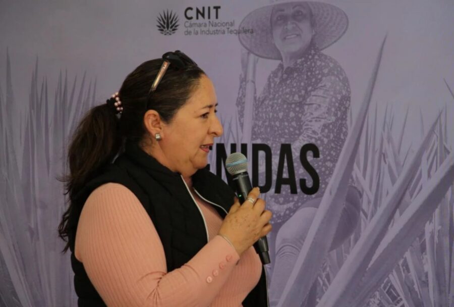 ARS busca vincular directamente a productores tradicionales de agave con empresas tequileras | Imagen: Cortesía