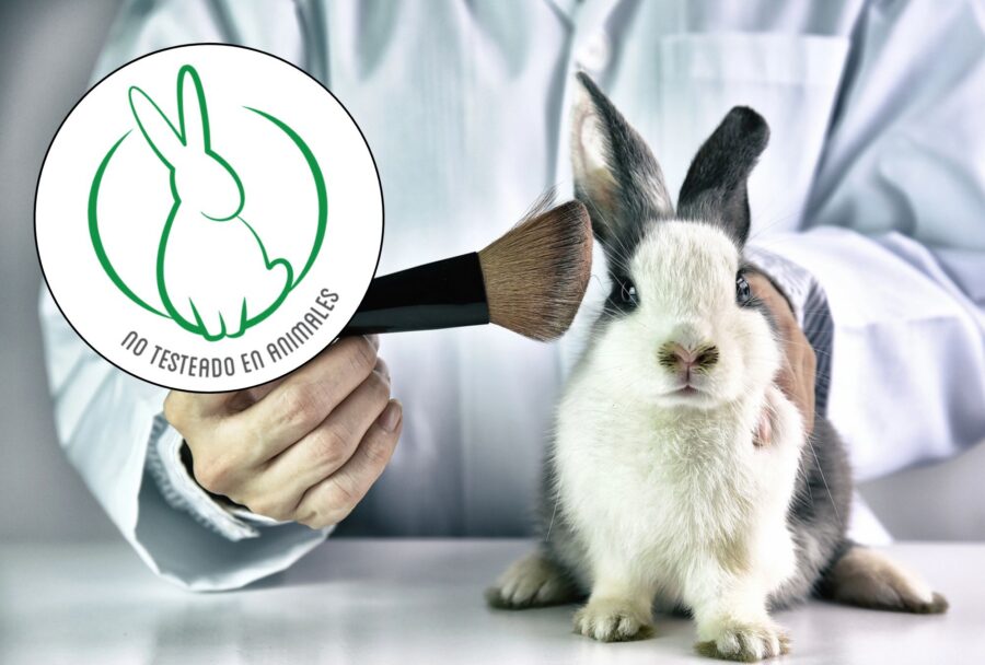¿Quién certifica los cosméticos cruelty free? Conoce Te Protejo, la organización que otorga el sello ‘libre de crueldad animal’
