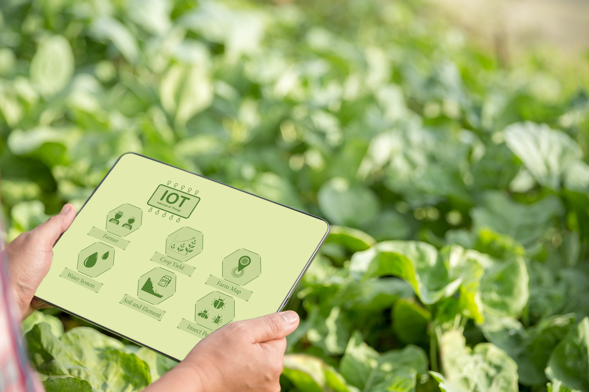 Los nuevos retos incluyen salud mediante alimentos, proteínas responsables y eficiencia operativa.